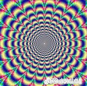 Meet your Posher, Adriana